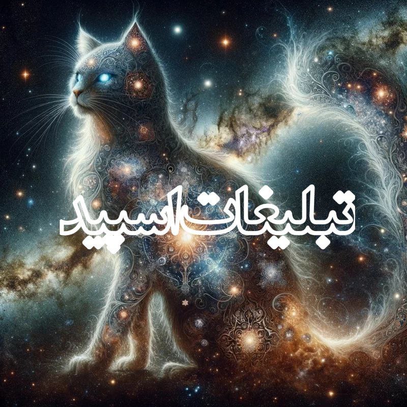 کافه شب‌های عاشقی (11)