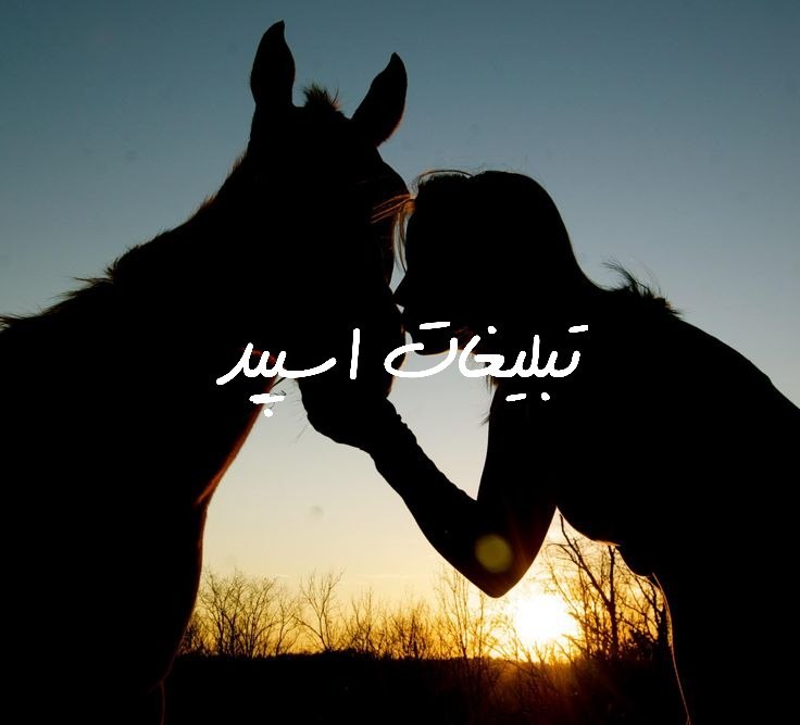گروه تلگرام برکه دوستی