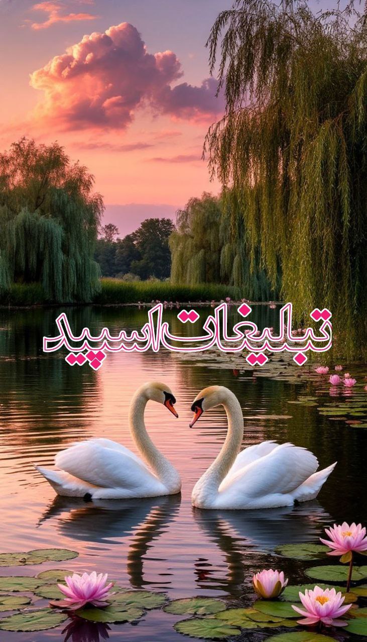 کلبه عشق و دوستی (2)