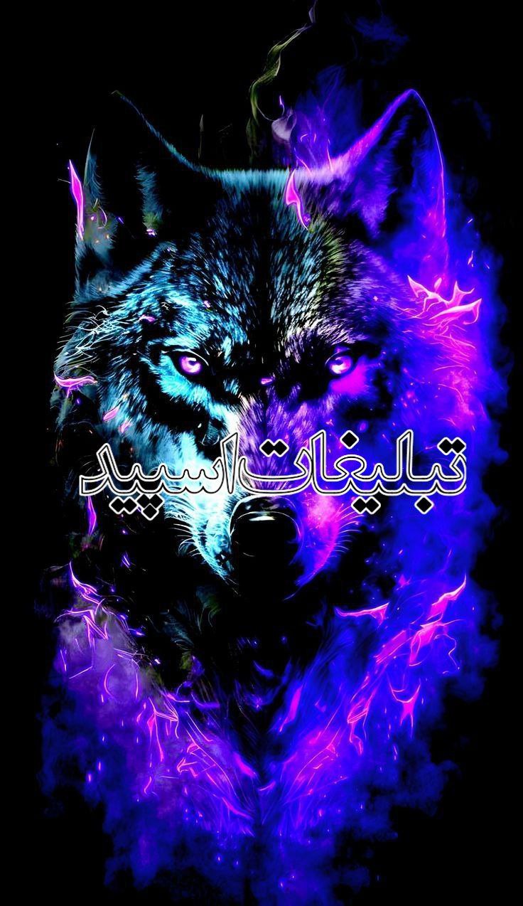 وایلد ولف (103)