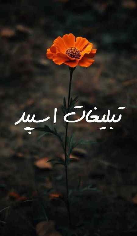 کانال ایتا استیکر دنیای شادی
