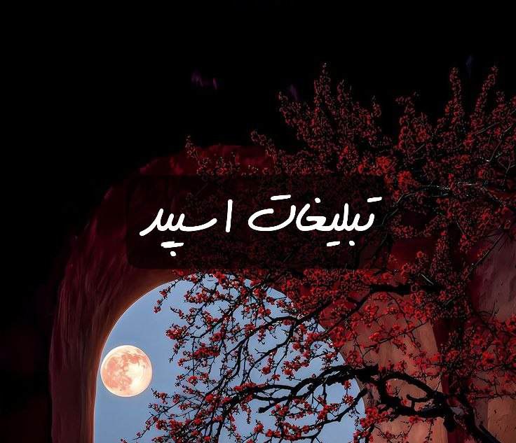 گروه تلگرام بچه های دیوانه
