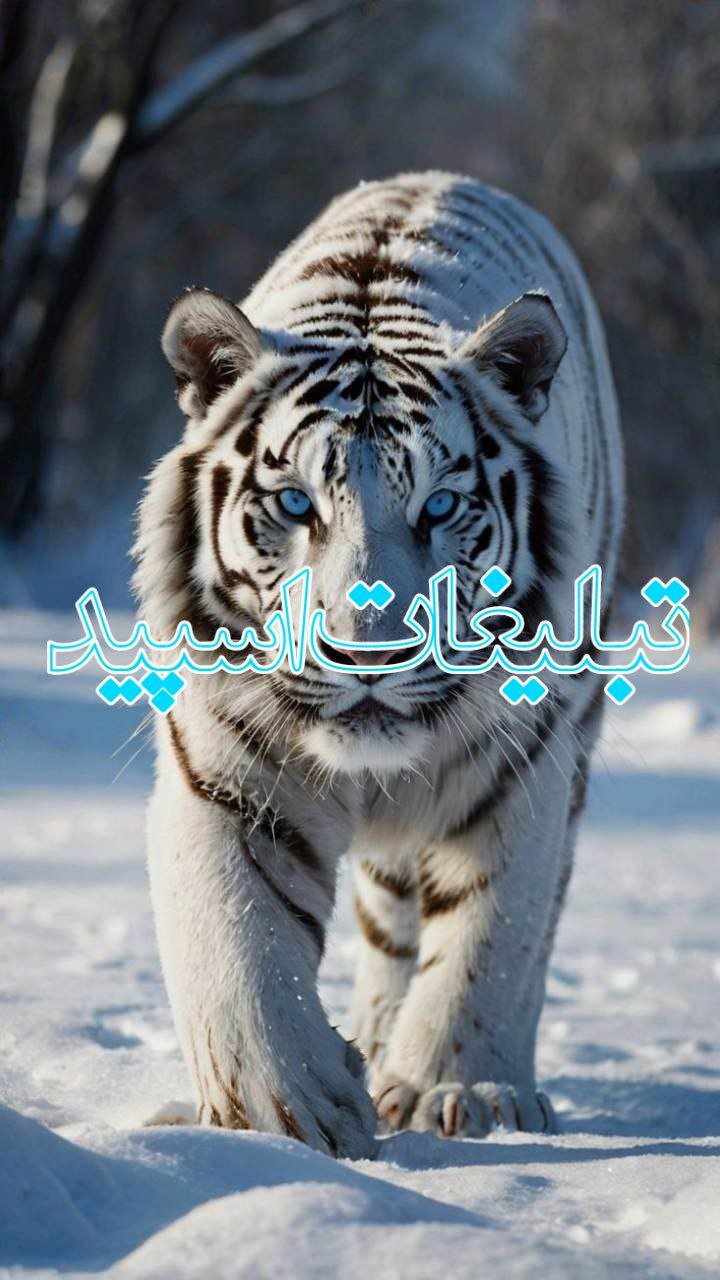 کلبه دوستان باصفا😍