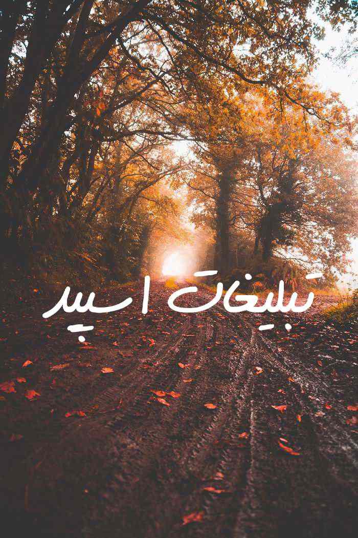 گروه چت ایتا دورهمی امیر و دوستان