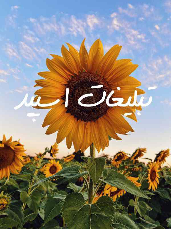 گروه چت تلگرام شیطونا