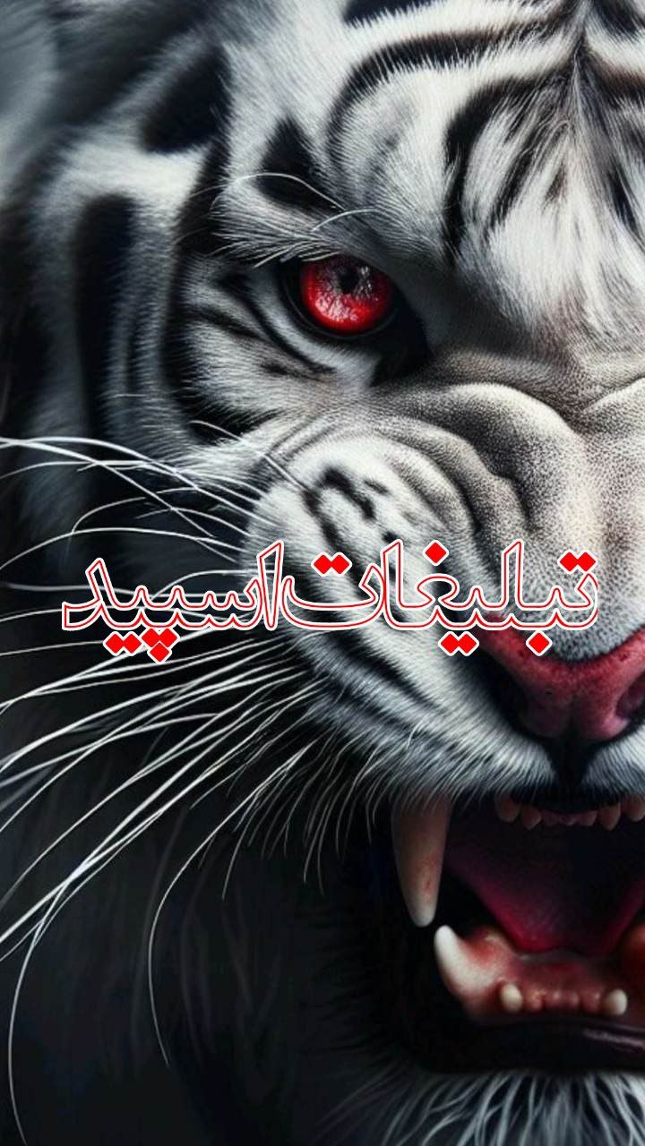 کوچه ی خاطرات