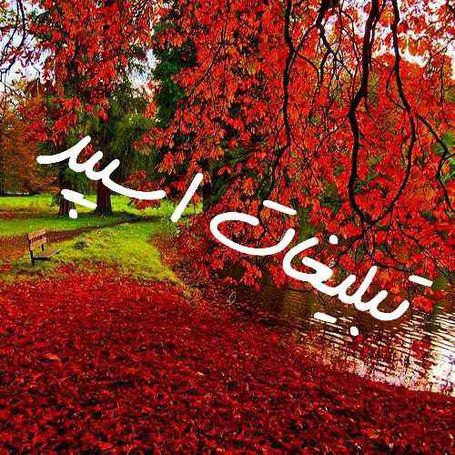 کانال روبیکای سریال آبان