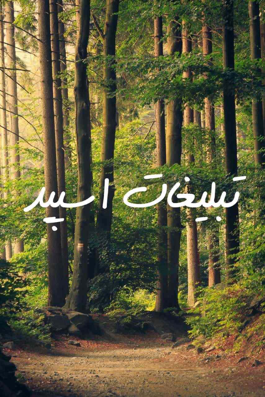 گپ تلگرام وایلد ولف