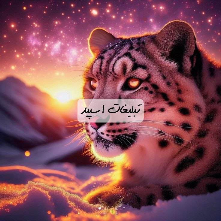 گروه تلگرام کلبه ی تهرونیای بامرام