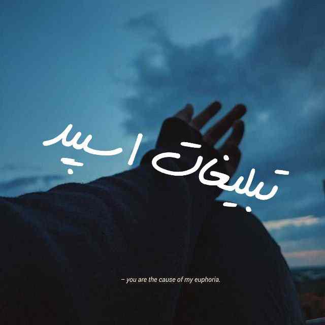 کانال سروش نورا تا آشپزخونه 