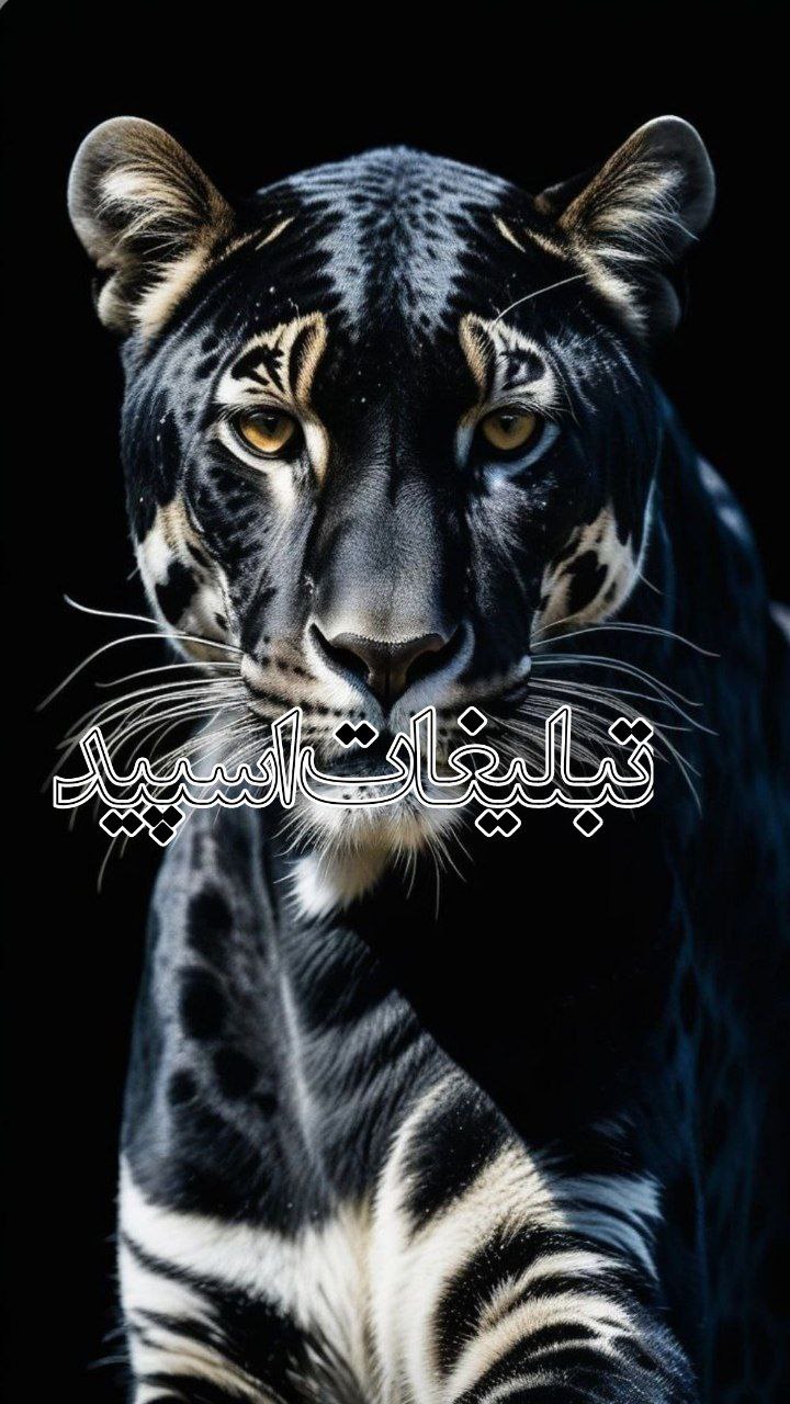 متاهل و مجردها (9)