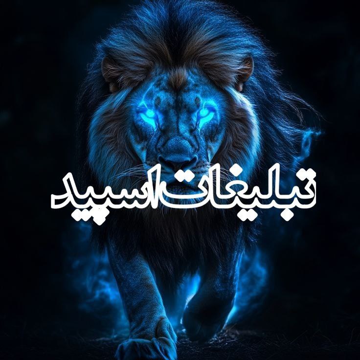 وایلد ولف (43)