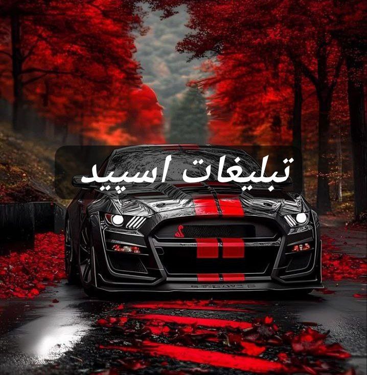 گپ تلگرام دیلان 