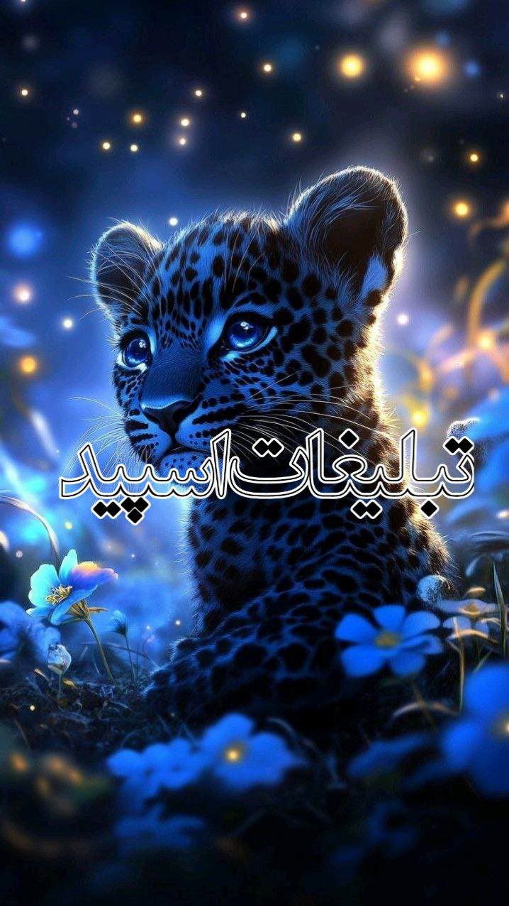 لاولند