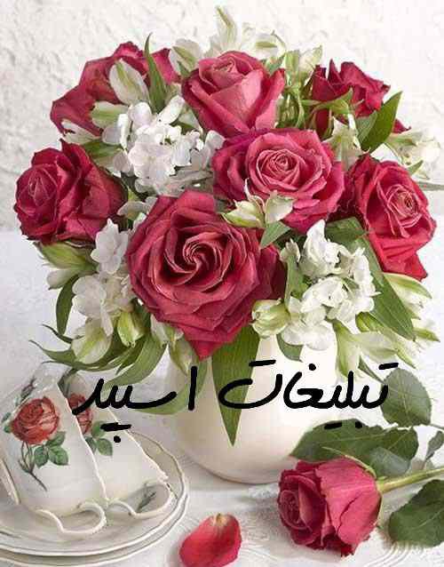 کانال ایتا آشپزی نگین بانو