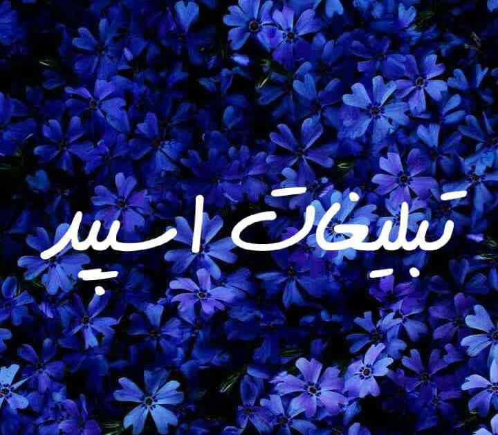 گپ تلگرام ققنوس