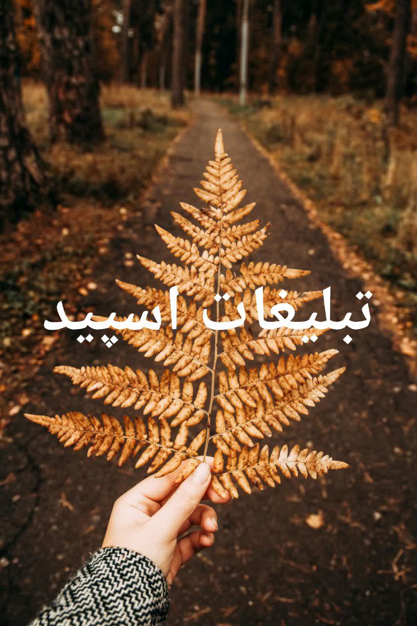 گروه تلگرام دوستان ماندگار تهران