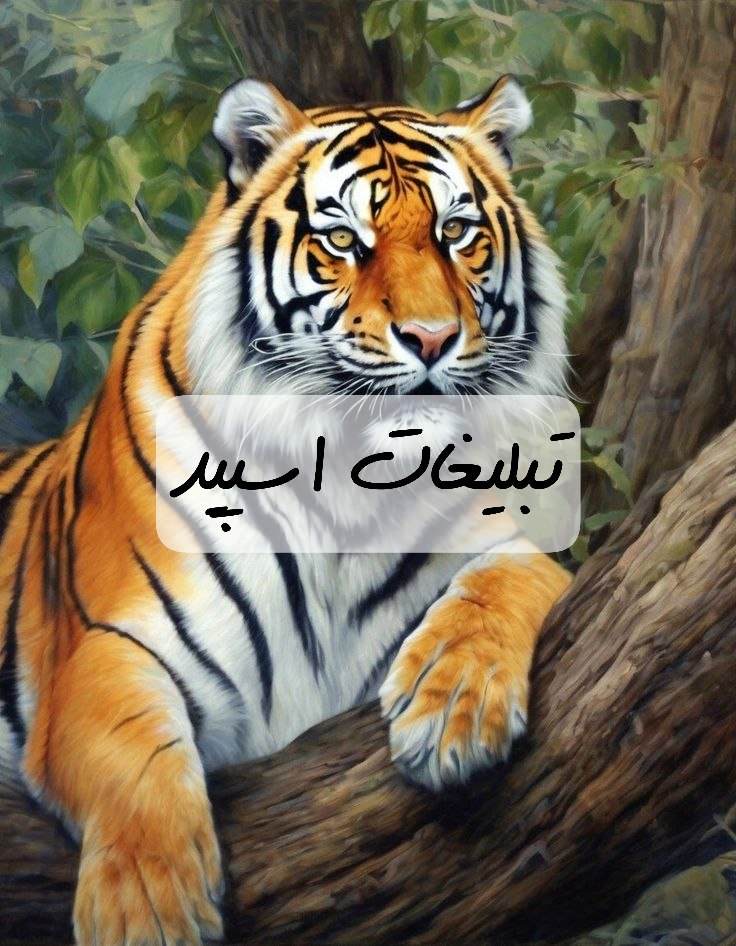 گروه تلگرام برکه دوستی خراسان جنوبی