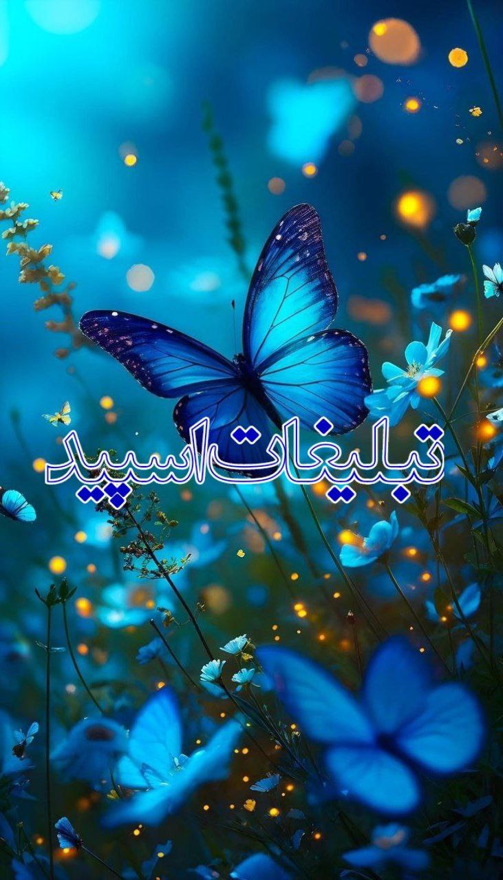 💙سي سالگی🦋 (1)