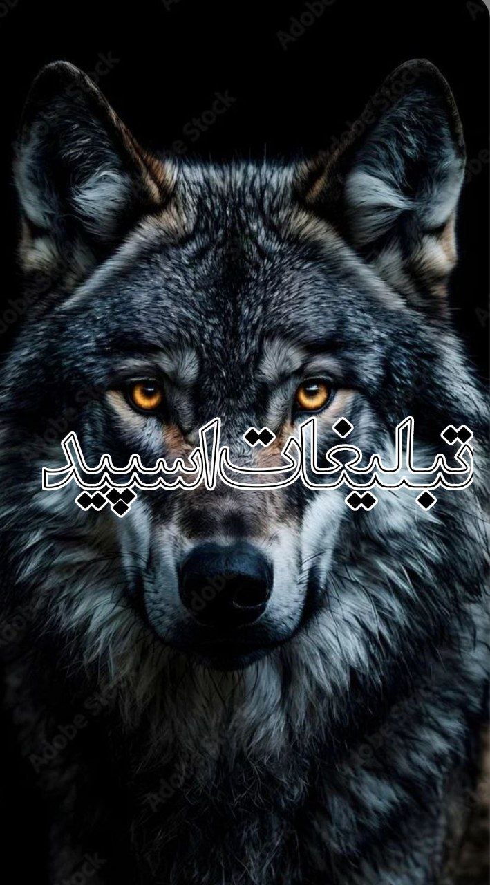 ⎯꯭᪵̽𝆺꯭𝅥𝐖𝐈𝐋𝐃𓆩᪵🜲꯭𓆪̥𝐖𝐎𝐋𝐅⎯꯭꥓᪵ͯ⟶ (92)