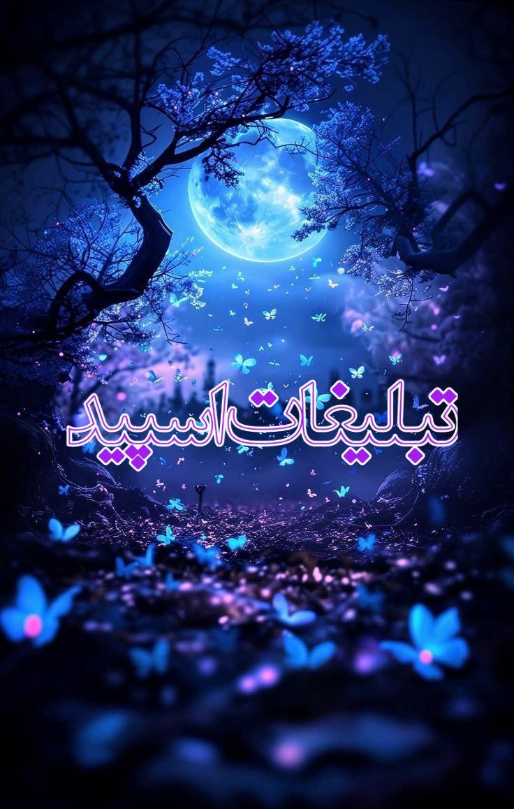 وایلد ولف|WILD WOLF (49)