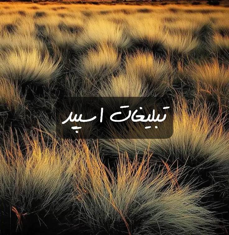 گروه تلگرام زیبایی پنهان
