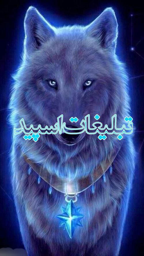 وایلد ولف (321)