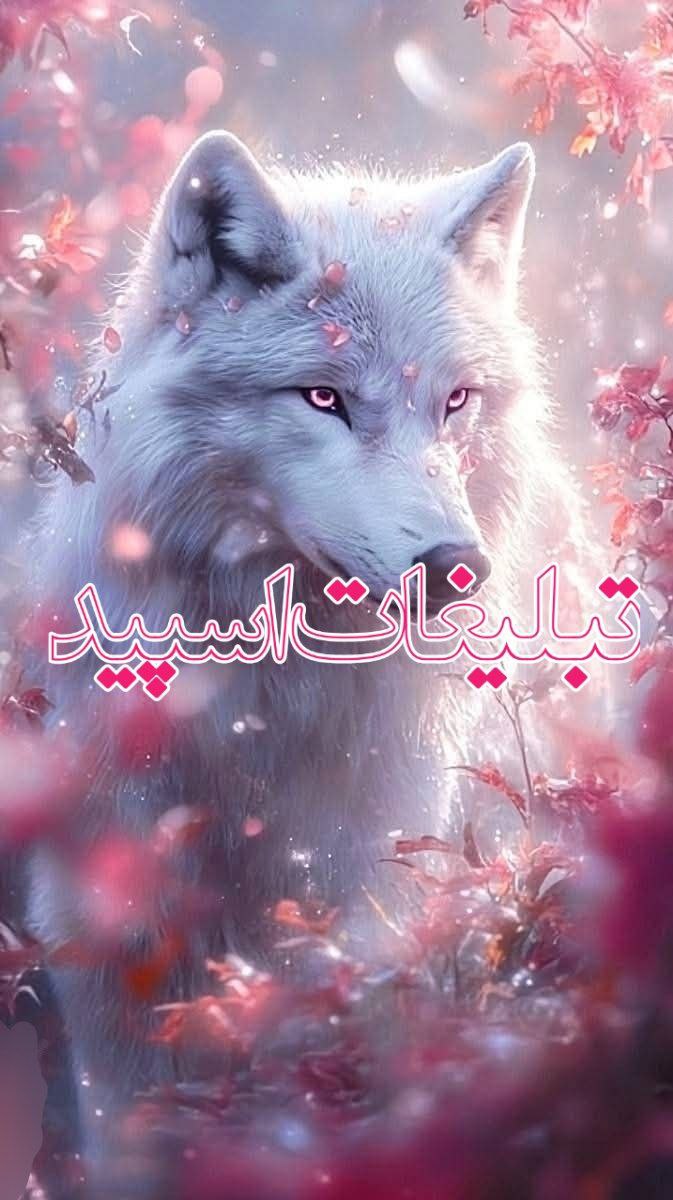 پاتوق خوبان (2)