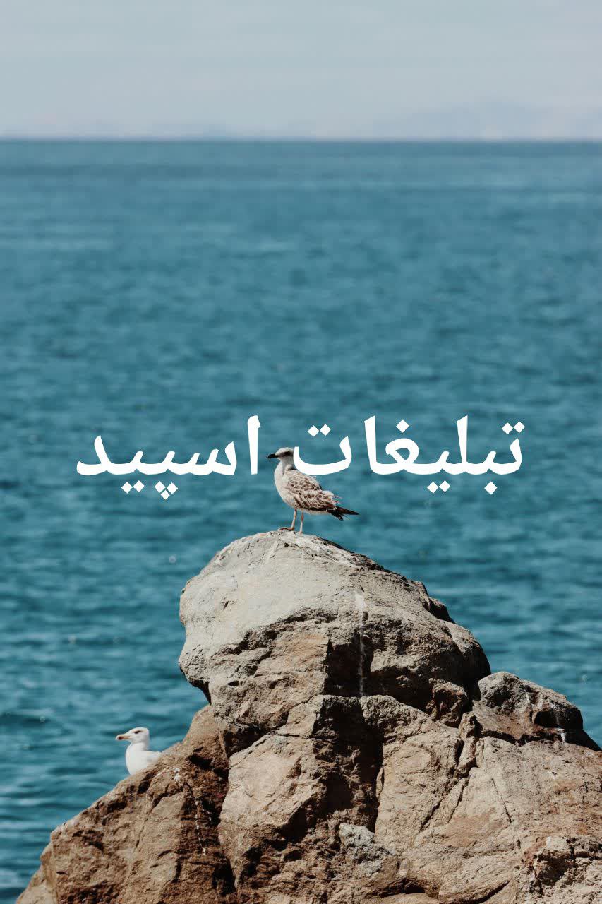 گپ تلگرام دارک