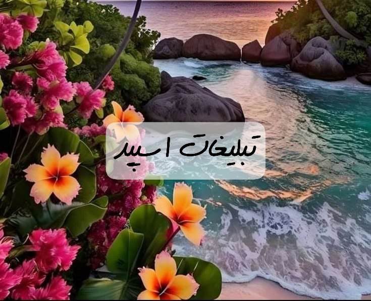 گپ تلگرام پاتوق خوش قلب ها