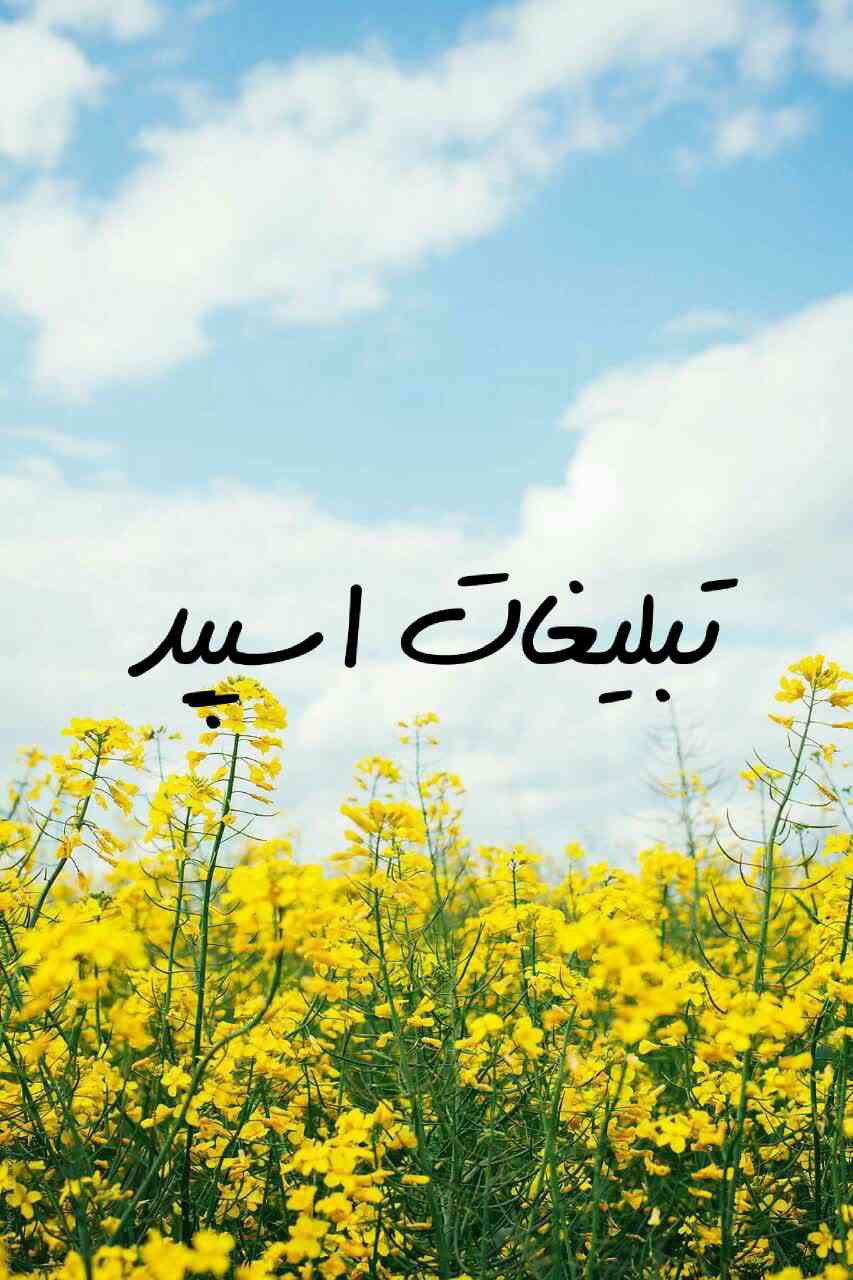 گروه تلگرام کافه دوستی