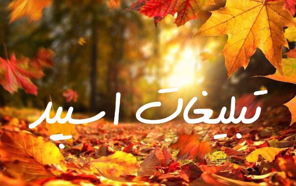 گروه چت تلگرام کافه شبهای عاشقی
