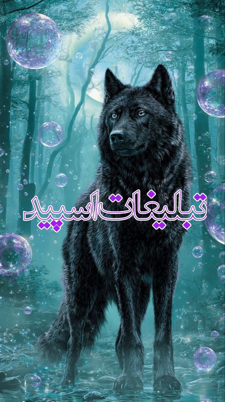 گرگ های ایرانی (5)