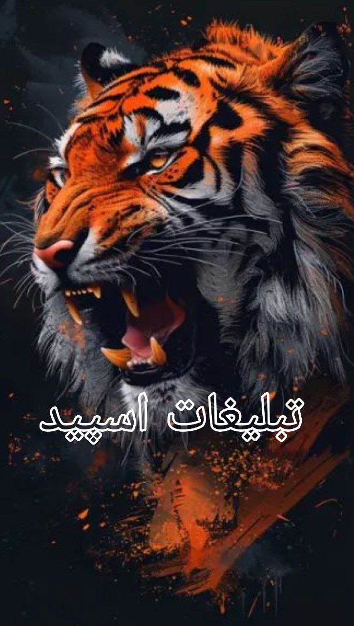 🆃🅾🅳🅴🅻🅸🅷🅰🫧 (1)