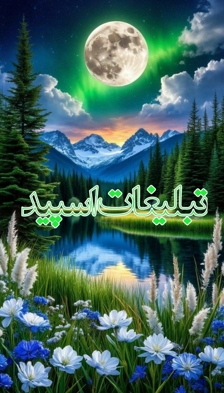دورهمی ایران زمین🪷. (3)