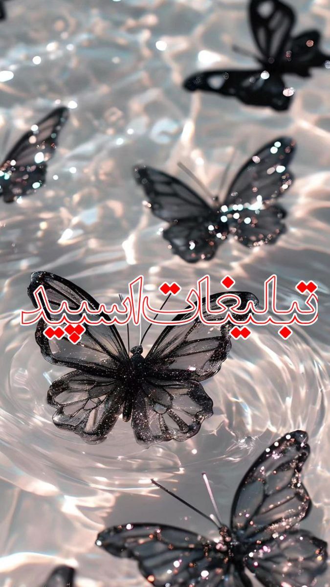 ➹‌‌◗◖S‌A‌L‌L‌Y‌ ⃙ ‌‌ ᪼᪼➹ (1)