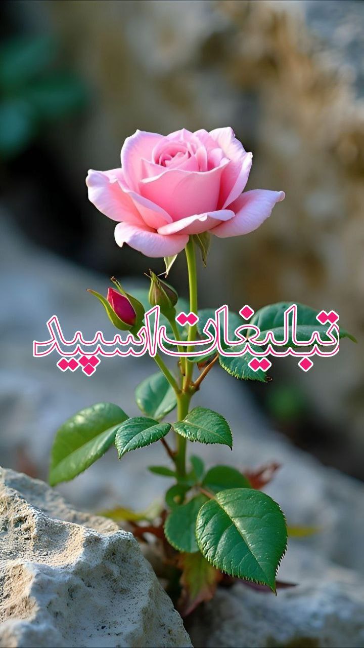 همدان سیتی 18