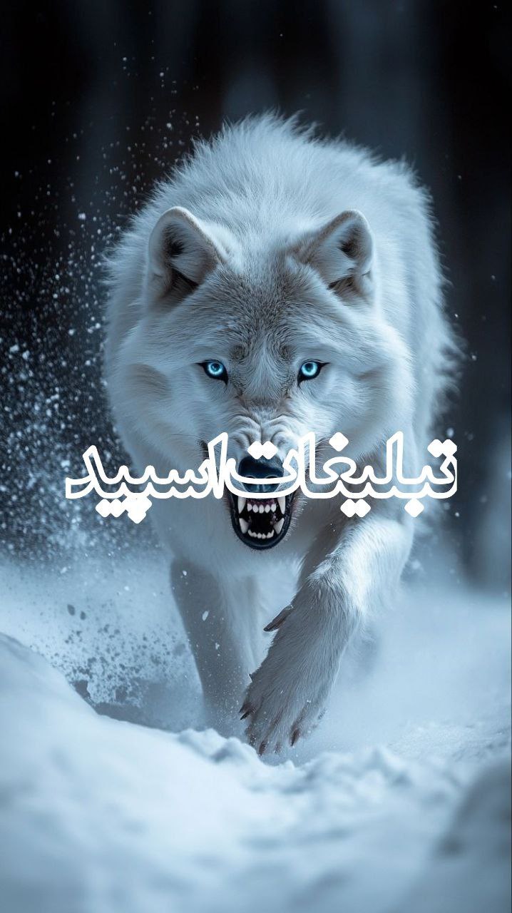 کلبه رفقا (2)