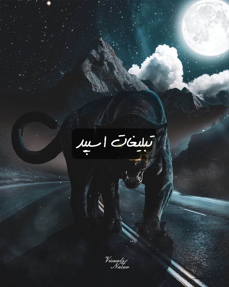 گروه چت سوته دلان