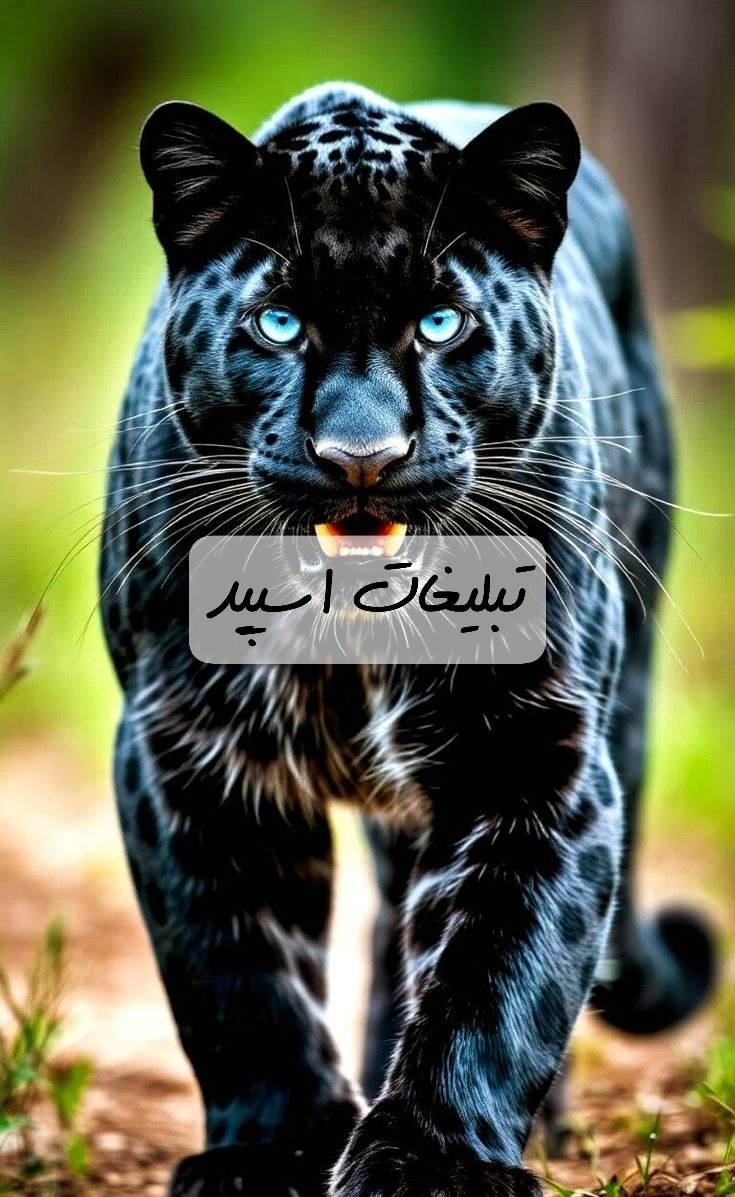 گروه تلگرام چت خودمونیای قزوین