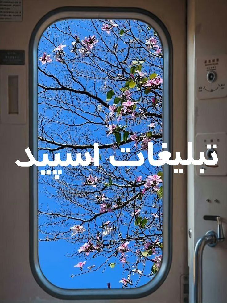 گروه چت تلگرام رفقای همیشگی