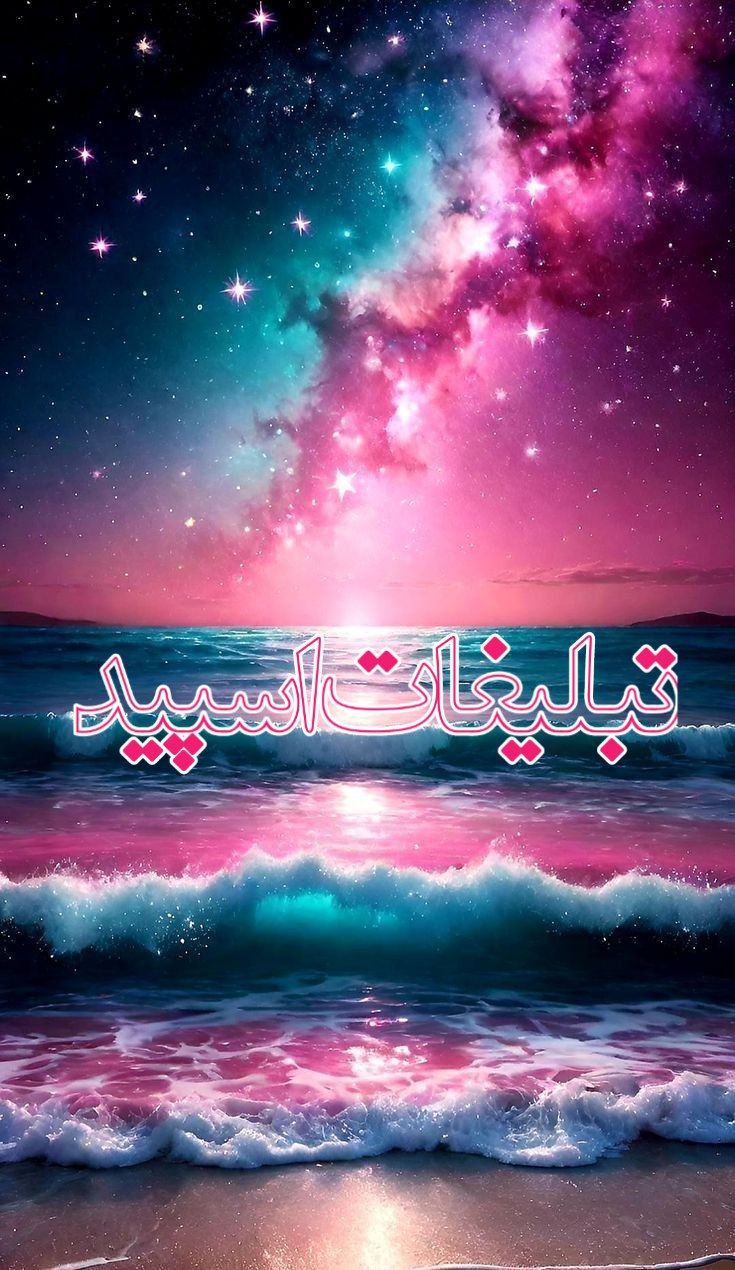 گروه مودیا (1)