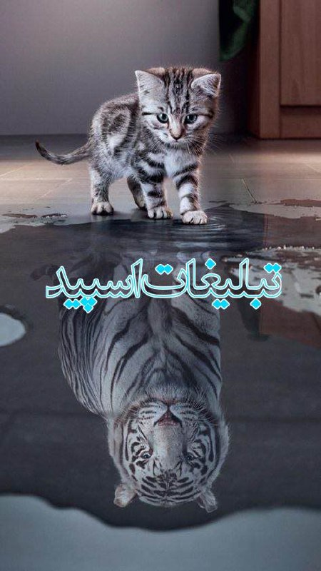 🔹پیج دندان پزشک میثم رنجبر