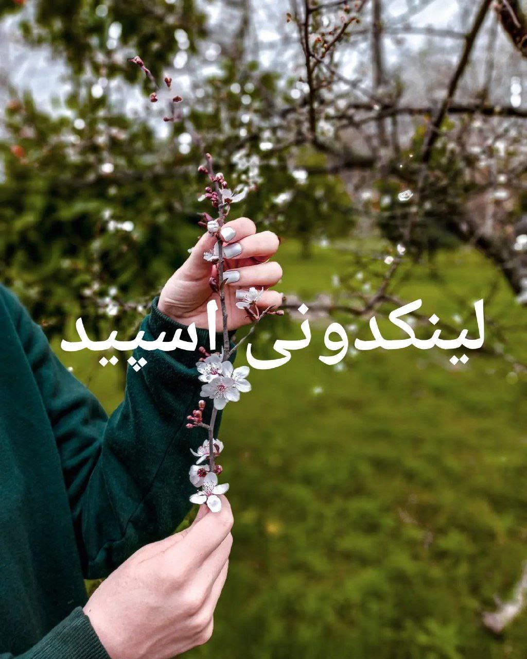 گپ تلگرام کافه لاکچرهای دختران با ادب