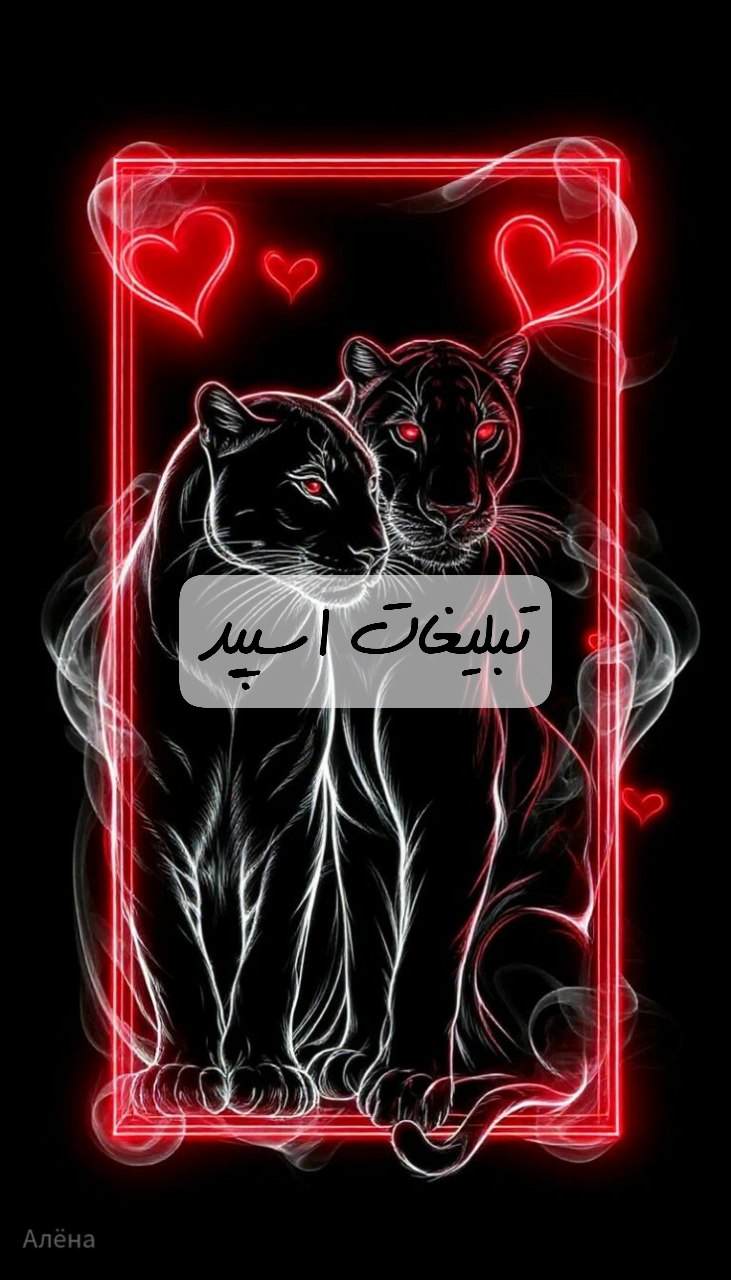 گروه تلگرام چتکده ی مورفین