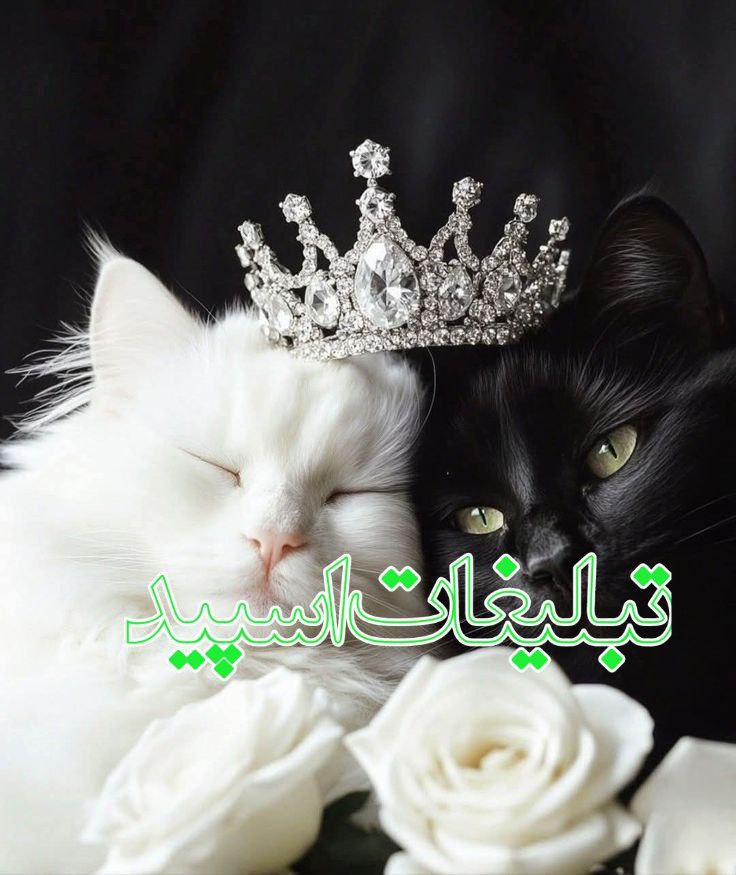 کٖؒلبؒـہ اےٖؒ مٖؒجاٖؒزےؒ بٖؒا دوسٖؒتانٖؒ واٖؒقعیٖؒ