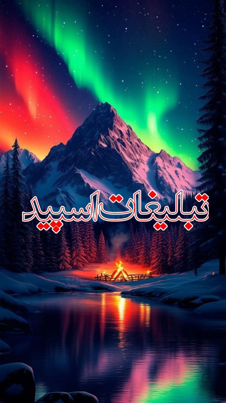 وایلد ولف (339)