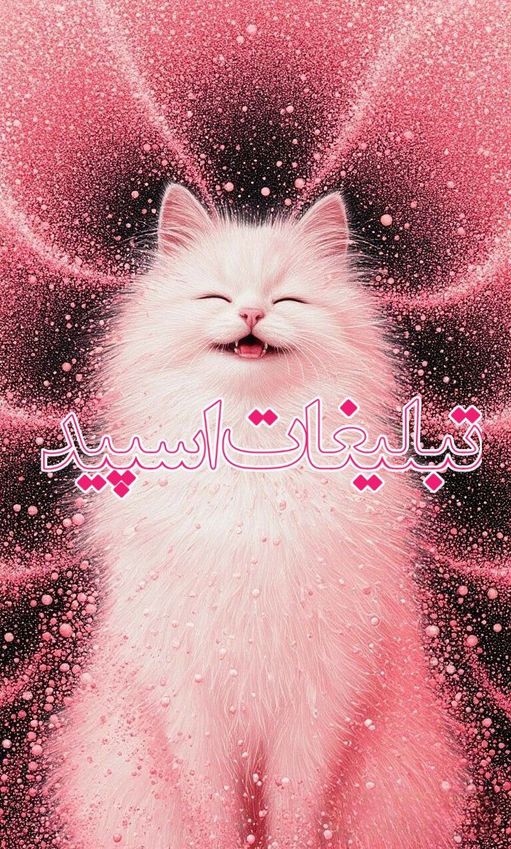 ››▽͟͞𖠇▴GAP GHAT⸼▹🔥⸼₍𝐽𝑎𝑁₎ ͛▴⸼