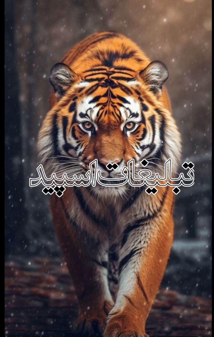 ⎯꯭᪵̽𝆺꯭𝅥𝐖𝐈𝐋𝐃𓆩᪵🜲꯭𓆪̥𝐖𝐎𝐋𝐅⎯꯭꥓᪵ͯ⟶ (429)