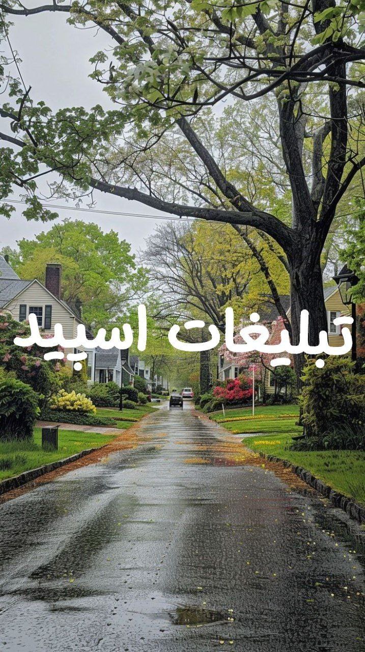 چنل یوتیوب طبیعت خالص